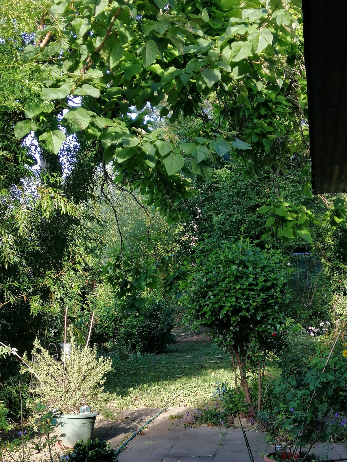 La Plume Artiste, Journaliste en Herbe