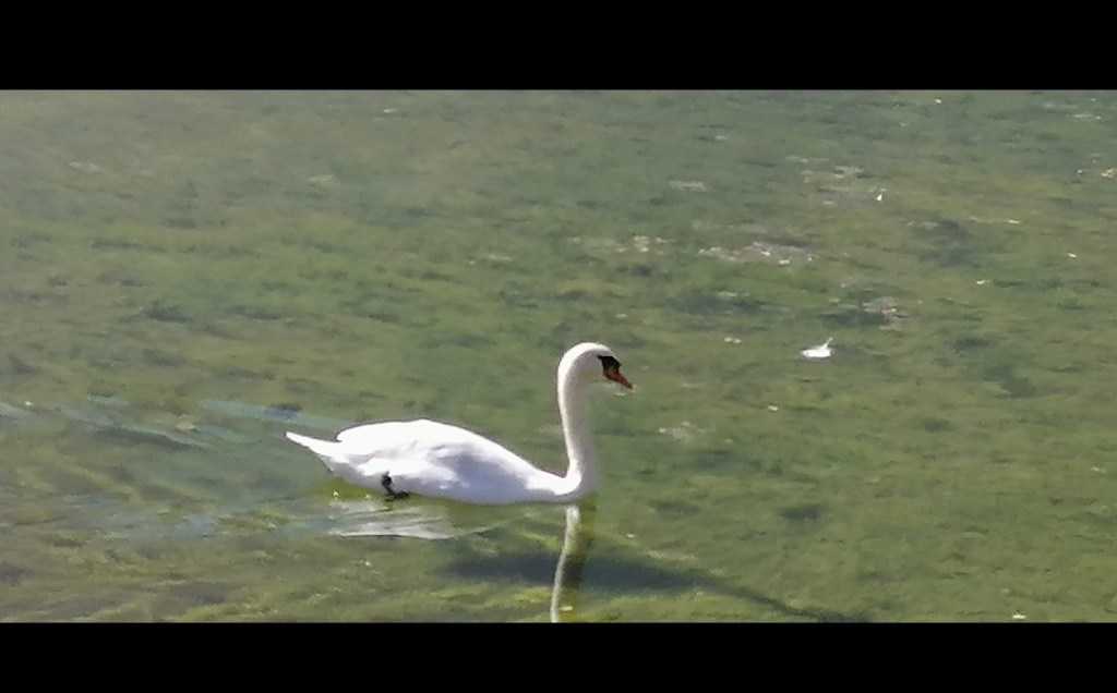 Venez lire cet article publié dans Le Temps d&rsquo;une&nbsp;Bière…