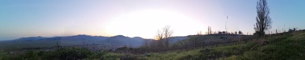 Discours, information et&nbsp;renseignement