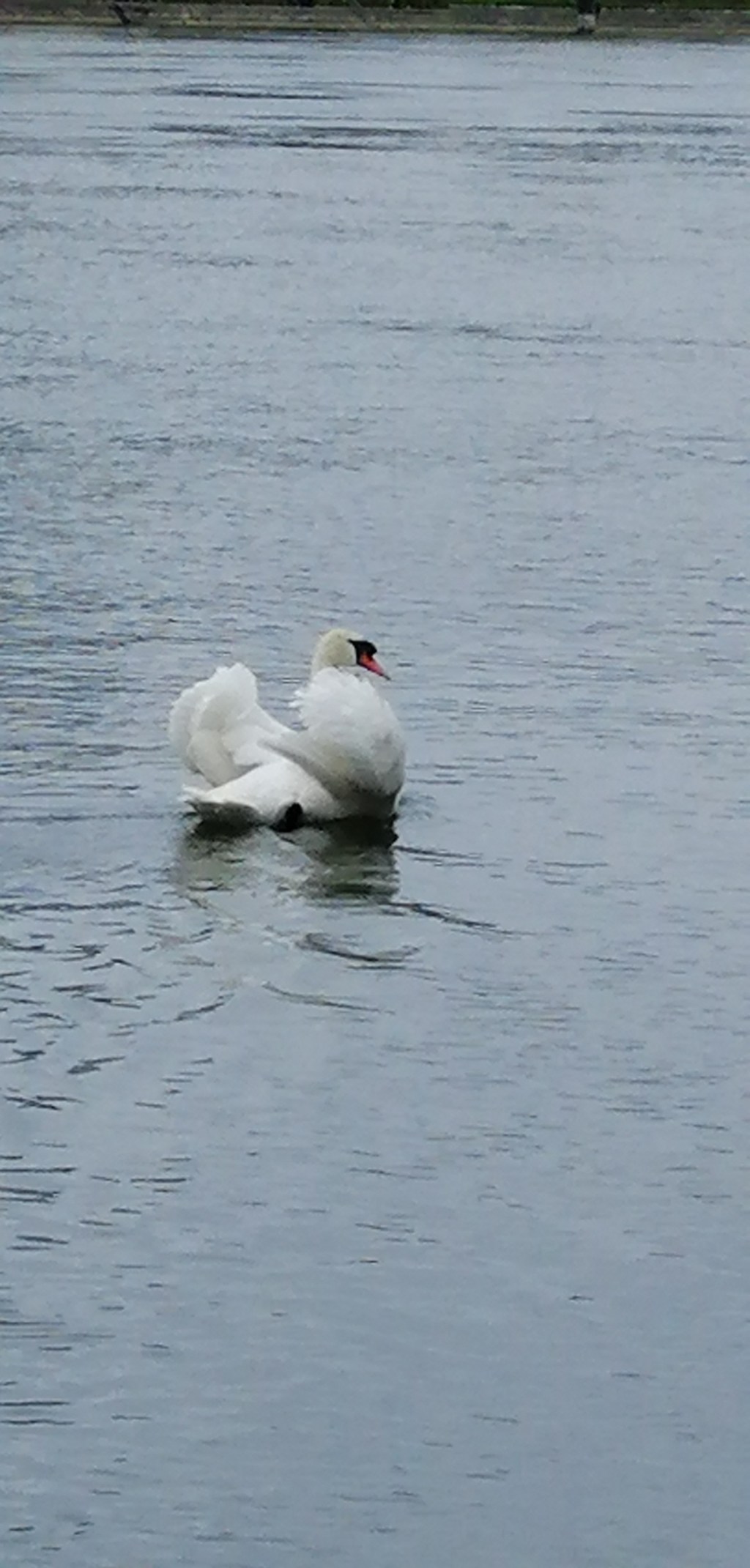 Bâle ou Basel (partie&nbsp;1)