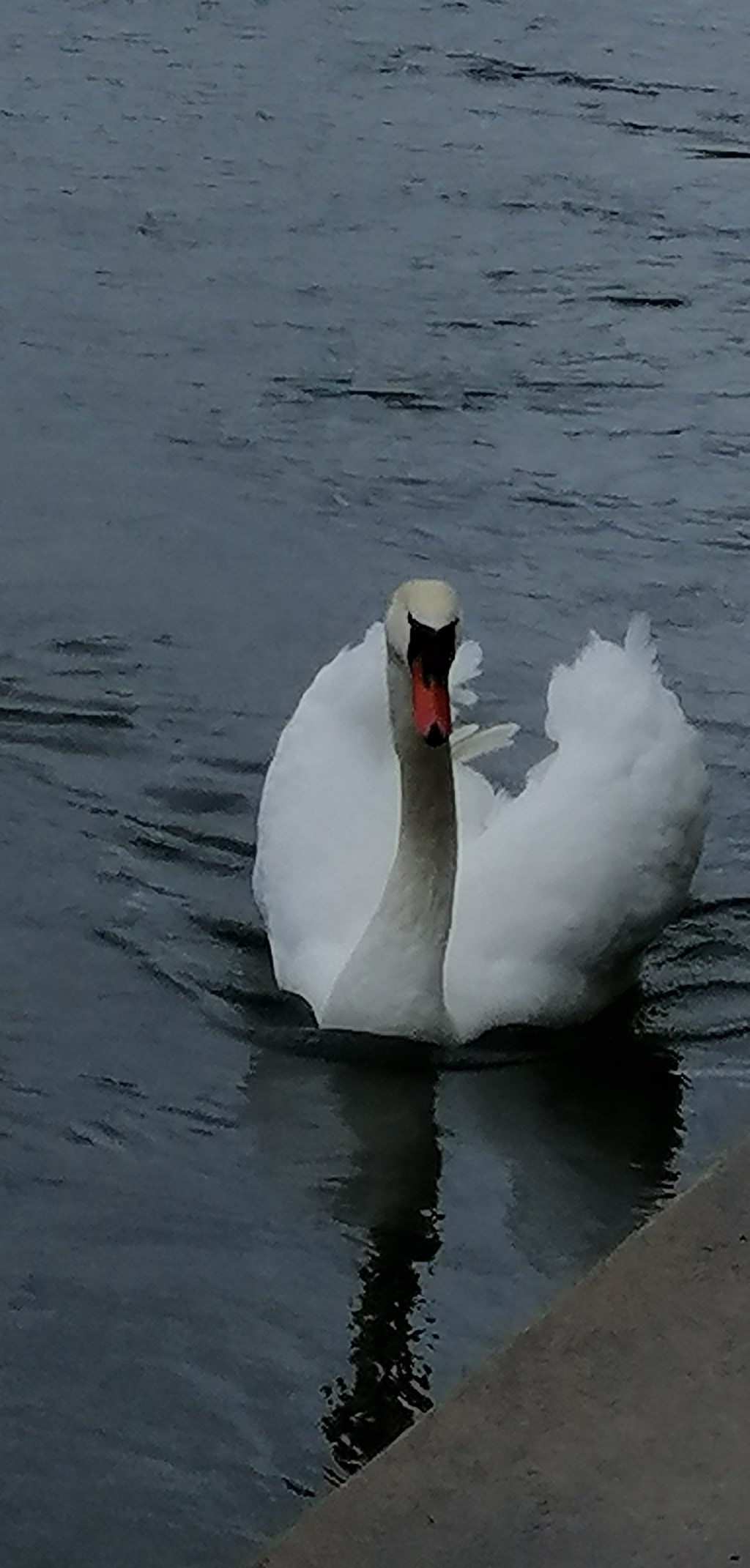 Comprendre un individu