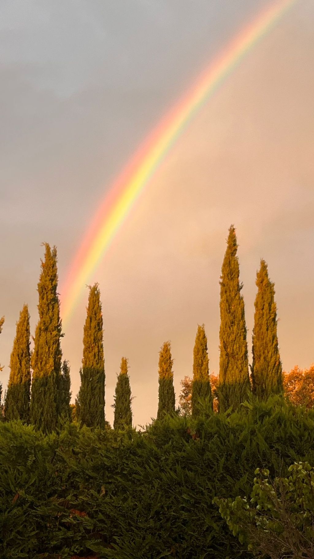 Des lieux de&nbsp;mémoire