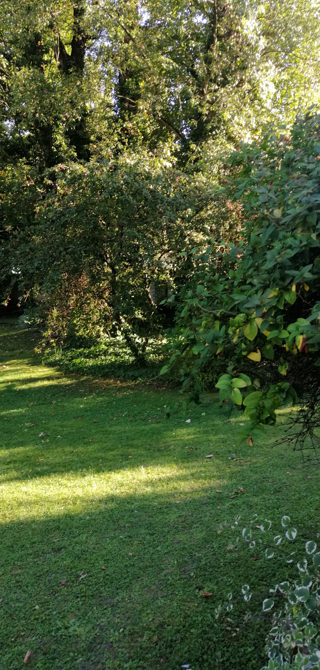 La Résidence Oppenheimer