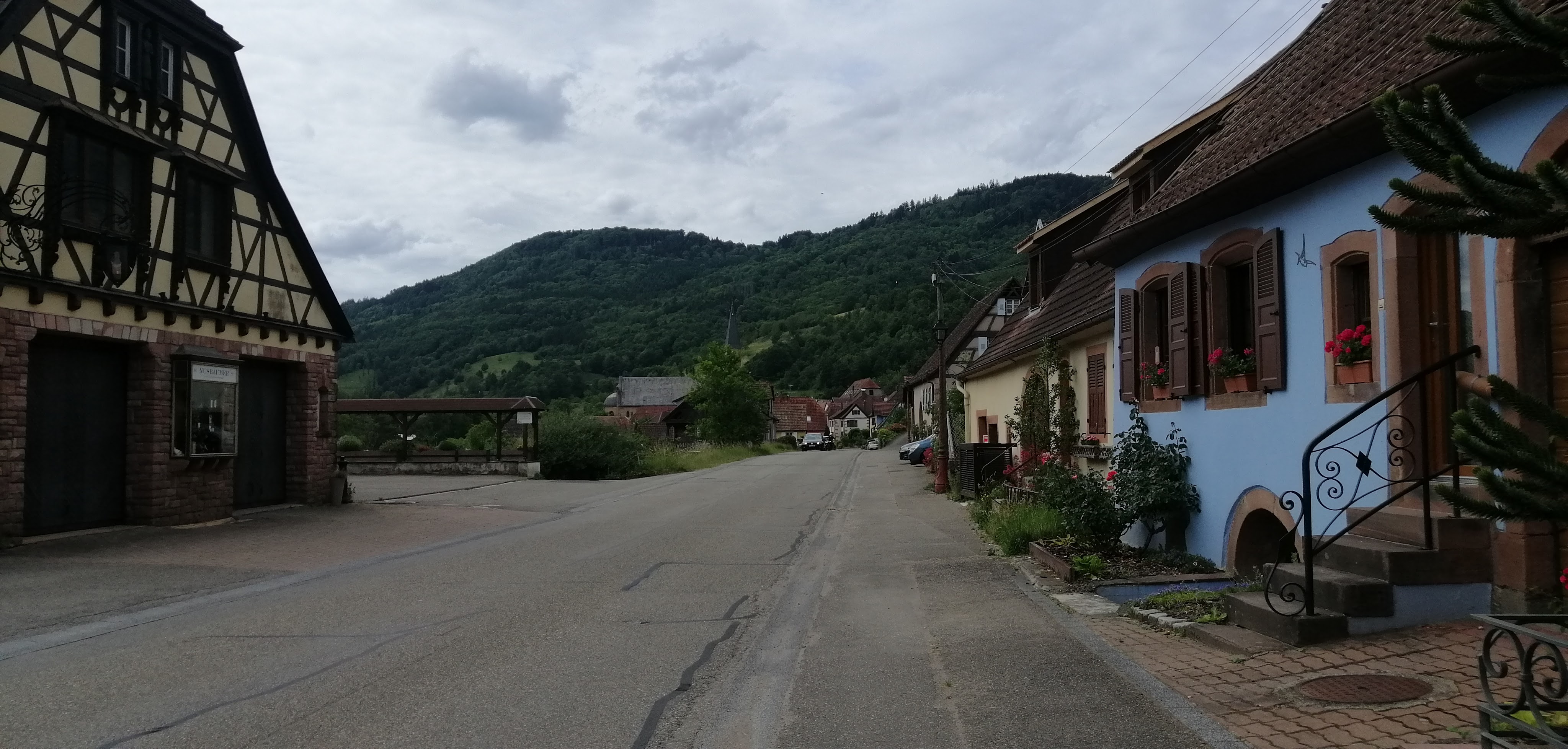 La dénonciation